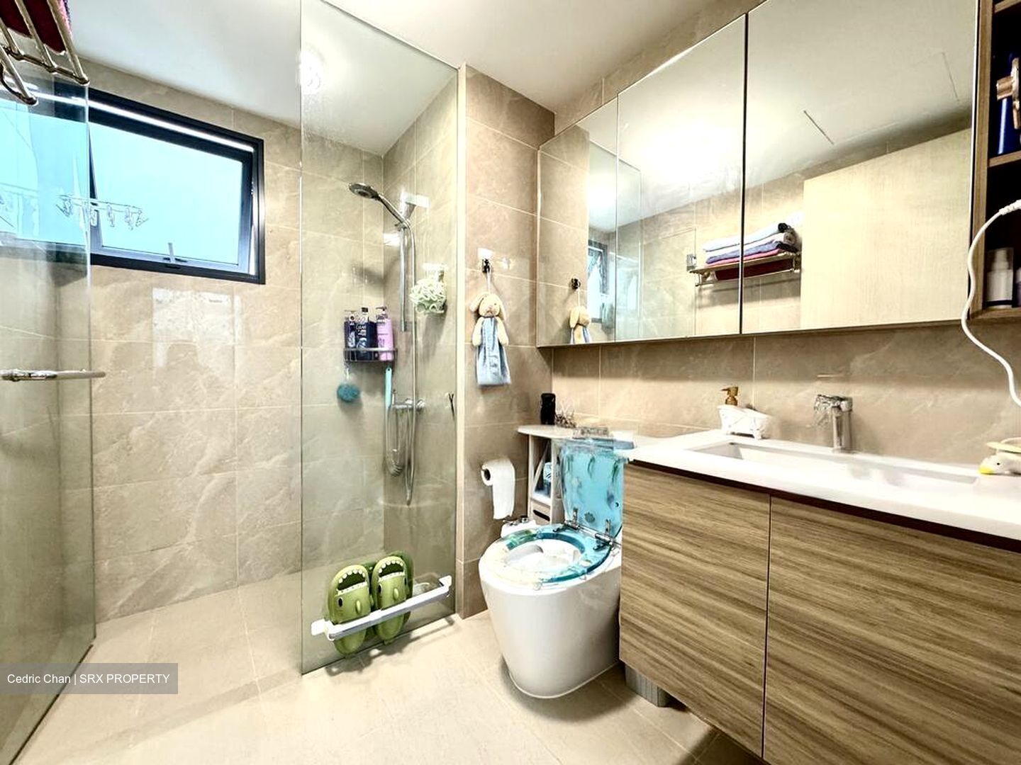 Treasure at Tampines (D18), Condominium #576827511